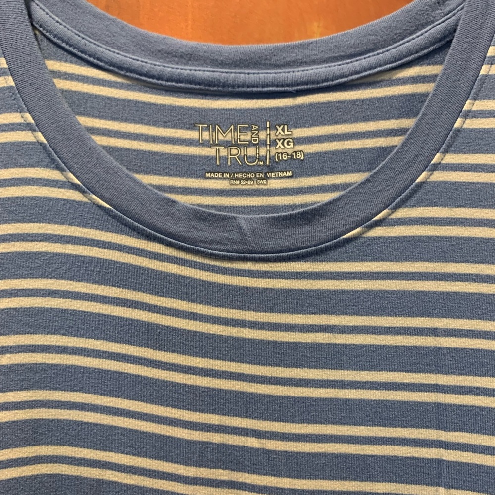 Time and Tru Blue and White Striped Top